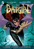 Vincente Cifuentes, Gail Simone, Ardian Syaf, Vincente Vincente, Ardian Syaf, Vincente Vincente - The Darkest Reflection (The New 52)