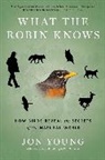 Jon Young - What the Robin Knows