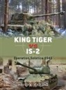 David Higgins, David R Higgins, David R. Higgins, Peter Dennis, Peter (Illustrator) Dennis, Jim Laurier... - King Tiger vs IS-2