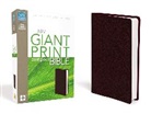Zondervan, Zondervan, Zondervan Publishing House (COR), Zondervan Bibles - Holy Bible