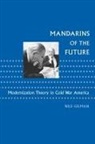 Nils Gilman - Mandarins of the Future