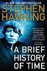 Stephen Hawking - A Brief History of Time: And Other Essays