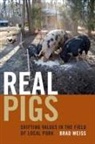Brad Weiss - Real Pigs