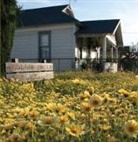 Samantha Frank, Maryam Hosseinzadeh - Fritz Haeg: Wildflowering L.A