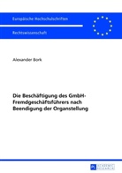 Alexander Bork - Die Beschäftigung des GmbH-Fremdgeschäftsführers nach Beendigung der Organstellung