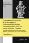 Carina Brumme - Das spätmittelalterliche Wallfahrtswesen im Erzstift Magdeburg, im Fürstentum Anhalt und im sächsischen Kurkreis