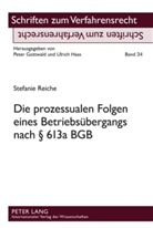 Stefanie Reiche - Die prozessualen Folgen eines Betriebsübergangs nach 613a BGB