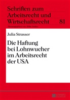 Julia Strasser - Die Haftung bei Lohnwucher im Arbeitsrecht der USA