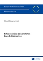 Marcel Messerschmidt - Schadensersatz bei vereitelten Erwerbsbiographien