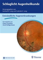 Claus Cursiefen, Arn Heiligenhaus, Arnd Heiligenhaus, Gerhard K Lang u a, Gabriele E. Lang, Gerhard K. Lang - Schlaglicht Augenheilkunde: Entzündliche Erkrankungen