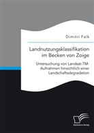Dimitri Falk - Landnutzungsklassifikation im Becken von Zoige: Untersuchung von Landsat-TM-Aufnahmen hinsichtlich einer Landschaftsdegradation