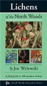 Joe Walewski - Lichens of the North Woods