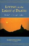 Larry Rosenberg - Living in the Light of Death