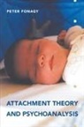 Peter Fonagy - Attachment Theory and Psychoanalysis