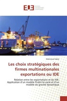 Mahmoud Sabra, Sabra-m - Les choix strategiques des firmes
