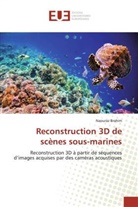 Naouraz Brahim, Brahim-N - Reconstruction 3d de scenes sous