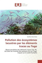 Kamilou Ouro-Sama, Ourosama-k - Pollution des ecosystemes