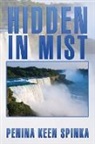 Penina Keen Spinka - Hidden in Mist