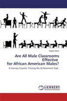 Angela Green - African American Males in Single Gender Classrooms