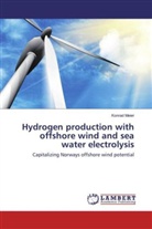 Konrad Meier - Hydrogen production with offshore wind and sea water electrolysis