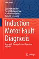 Suraji Chattopadhyay, Surajit Chattopadhyay, Subrat Karmakar, Subrata Karmakar, Ma Mitra, Madhuchhanda Mitra... - Induction Motor Fault Diagnosis