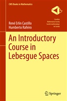Rene Erli Castillo, Rene Erlin Castillo, Humberto Rafeiro - An Introductory Course in Lebesgue Spaces