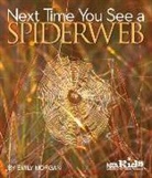 Emily Morgan, Emily R. Morgan - Next Time You See a Spiderweb