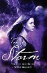 Jennifer Lynn Barnes - Taken by Storm