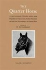 Bob Denhardt, Robert Denhardt - The Quarter Horse