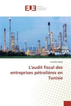Guerfala Wajdi, Wajdi-g - Laudit fiscal des entreprises