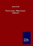 Justus Roth - Flusswasser, Meerwasser, Steinsalz