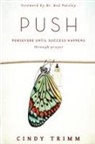 Cindy Trimm - Push