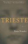 Dasa Drndic - Trieste