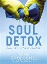 Craig Groeschel - Soul Detox