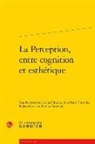 Adinel Bruzan, Jean-Marie Chevalier, Raluca Mocan - La perception, entre cognition et esthétique