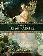 Perseus, Carolyn White - A History of Irish Fairies
