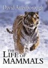 David Attenborough - The Life of Mammals