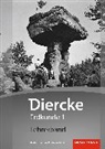 Diercke Erdkunde - Ausgabe 2016 für Realschulen plus in Rheinland-Pfalz