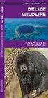 James Kavanagh, Waterford Press, Raymond Leung - Belize Wildlife: A Folding Pocket Guide to Familiar Species