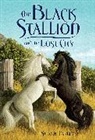 Steve Farley - The Black Stallion and the Lost City