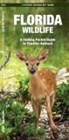 James Kavanagh, Waterford Press, Raymond Leung - Florida Wildlife: An Introduction to Familiar Species