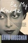 David Grossman - Be My Knife