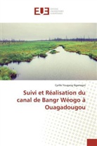 Ngamegni-c, Cyrille Yougang Ngamegni - Suivi et realisation du canal de