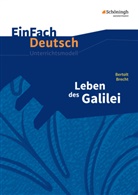 Bertold Brecht, Bertolt Brecht, Sandra Graunke - EinFach Deutsch Unterrichtsmodelle