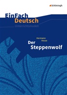 Herrmann Hesse, Timotheus Schwake, Johanne Dieckhans, Johannes Dieckhans - EinFach Deutsch Unterrichtsmodelle