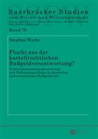 Stephan Wachs - Flucht aus der kartellrechtlichen Bußgeldverantwortung?