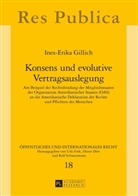 Ines Gillich, Ines-Erika Gillich, Udo Fink - Konsens und evolutive Vertragsauslegung