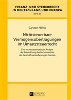 Carsten Höink - Nichtsteuerbare Vermögensübertragungen im Umsatzsteuerrecht