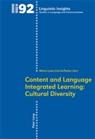 Luisa Carrio, María Luisa Carrió-Pastor - Content and Language Integrated Learning: Cultural Diversity