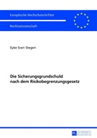 Eyke Sven Stegen - Die Sicherungsgrundschuld nach dem Risikobegrenzungsgesetz